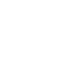 ndimg icononcolor1 04